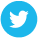 twitter-icon